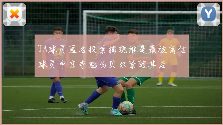 TA球员匿名投票揭晓谁是最被高估球员申京夺魁戈贝尔紧随其后